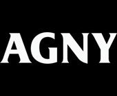 Спиннинг Ares Agny