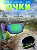 Очки Select FS4-CG-GR (В твердом кофре с микрофиброй) 1870.42.08