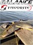Спиннинг Favorite Balance BLC-602UL 1.83m 2-7g 4-8lb M-Fast 1693.01.62