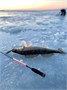 Зимнее удилище Narval Frost Ice Rod Stick Hard 54см NFRSH54